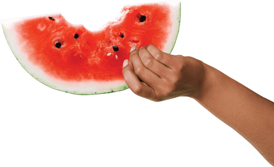 Hand holding watermelon